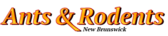 New Brunswick Ant Exterminator & Rodent Control Company Logo